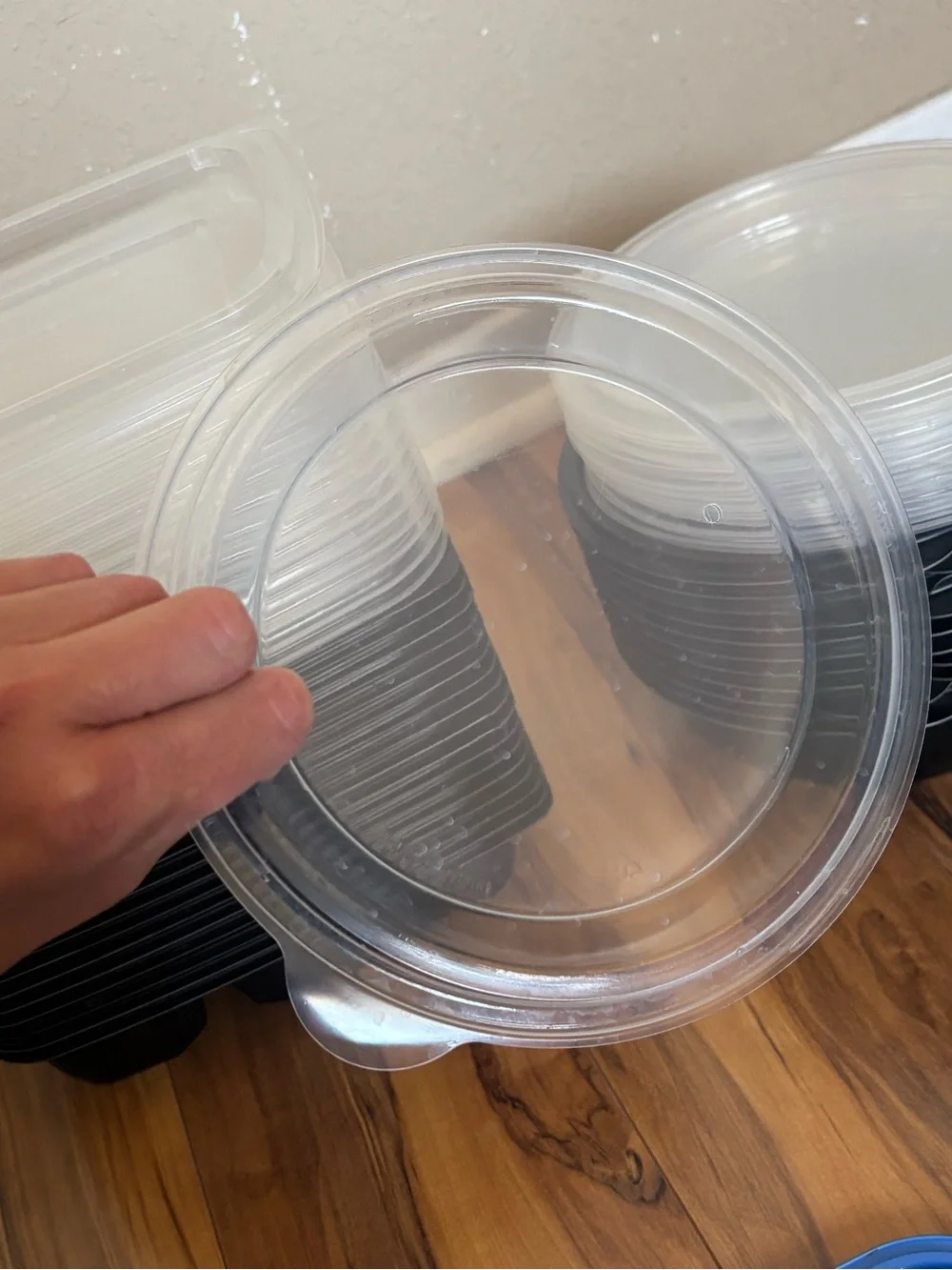 Assorted Plastic Food Storage Meal Prep Container with Lids - Multi-Color